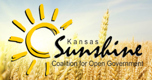 sunshine coalition logo
